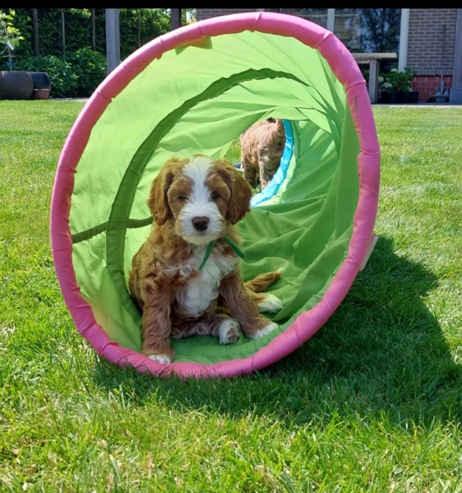 WhatsApp Image 2023-09-13 at 16.03.32