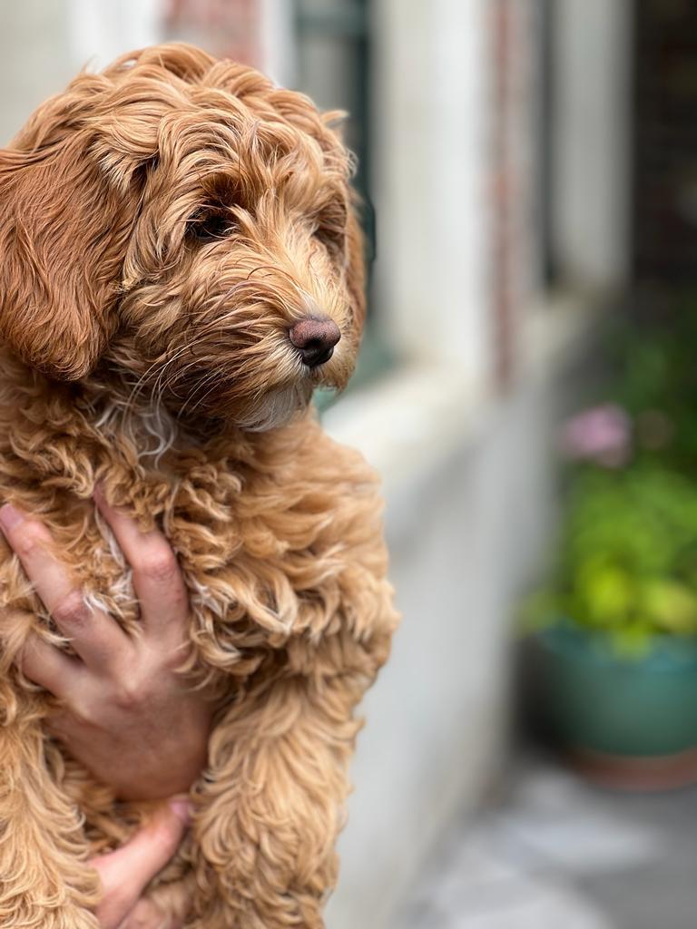 WhatsApp Image 2023-09-13 at 17.29.49