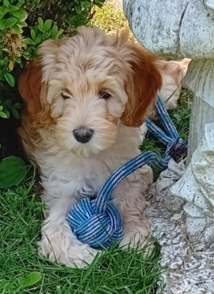 WhatsApp Image 2023-09-20 at 16.36.05