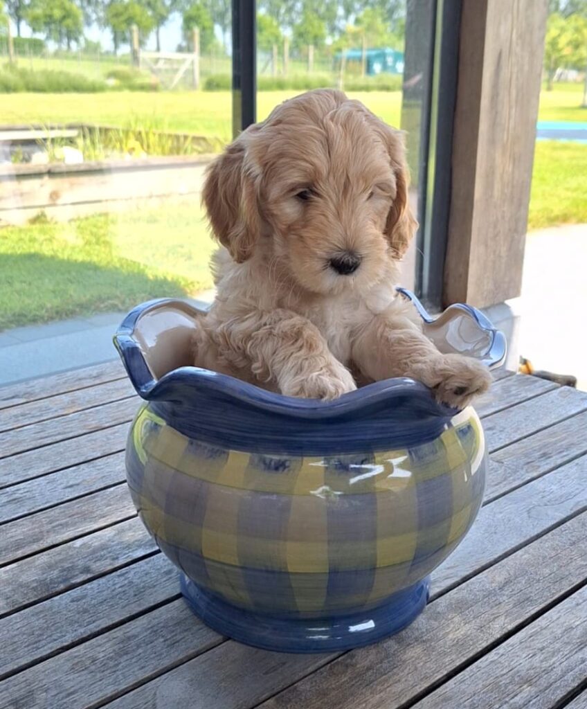 WhatsApp Image 2023-09-20 at 16.37.02 (1)