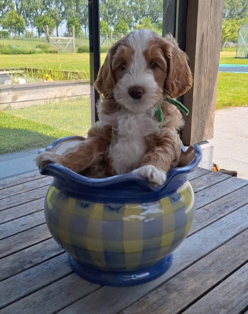 WhatsApp Image 2023-09-20 at 16.37.02 (2)