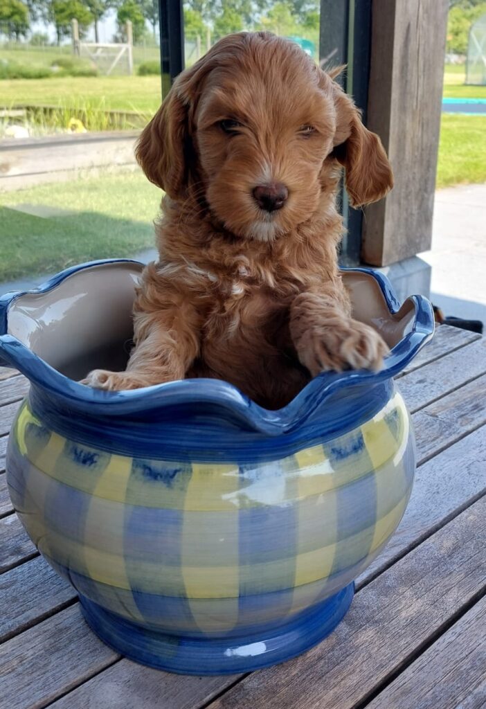 WhatsApp Image 2023-09-20 at 16.37.02