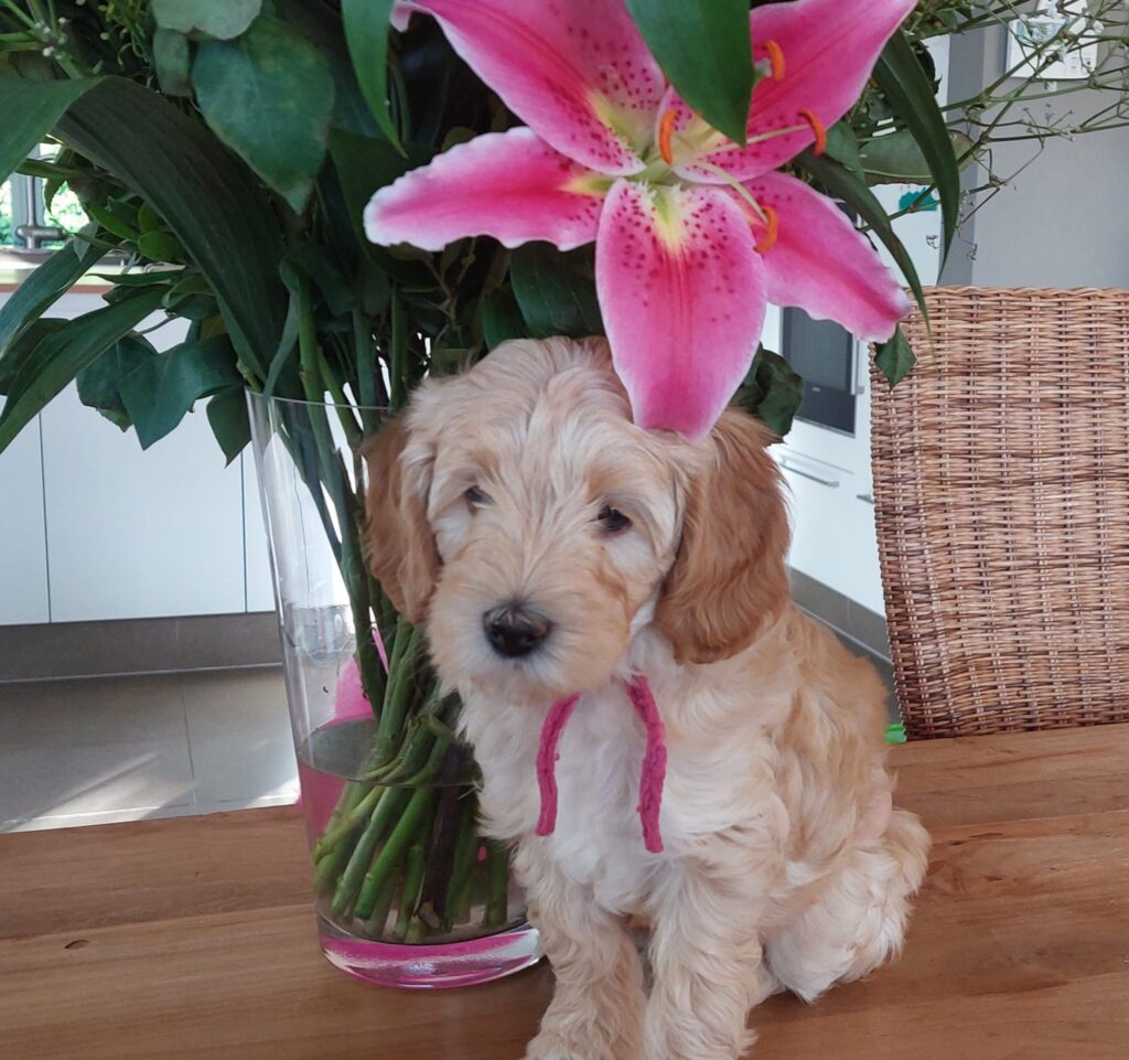 WhatsApp Image 2023-09-20 at 16.37.03 (1)