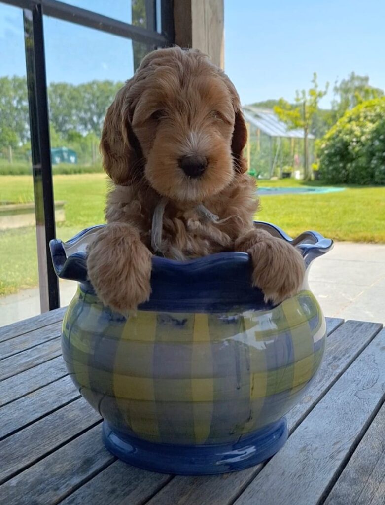 WhatsApp Image 2023-09-20 at 16.37.03