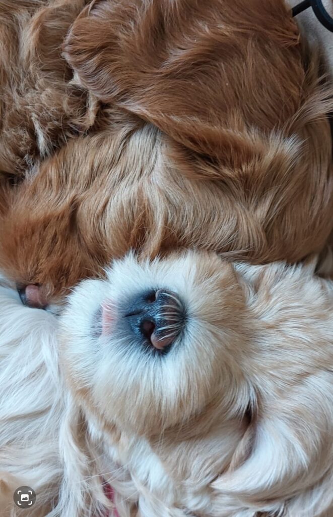 WhatsApp Image 2023-09-20 at 16.38.00