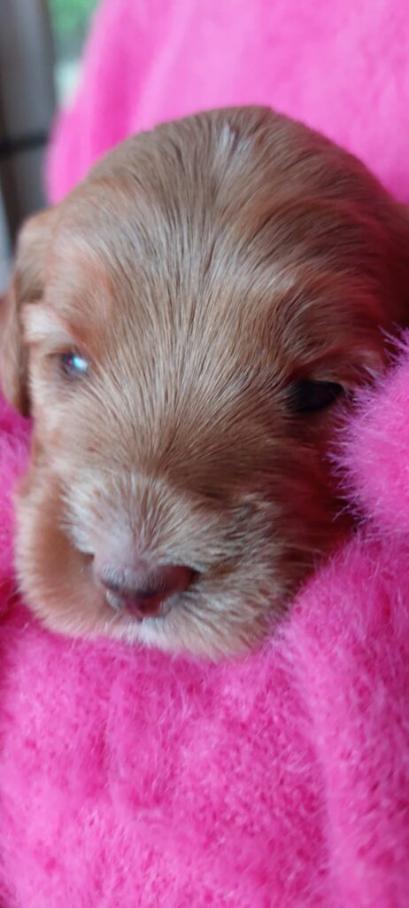 WhatsApp Image 2023-09-20 at 16.45.15 (1)