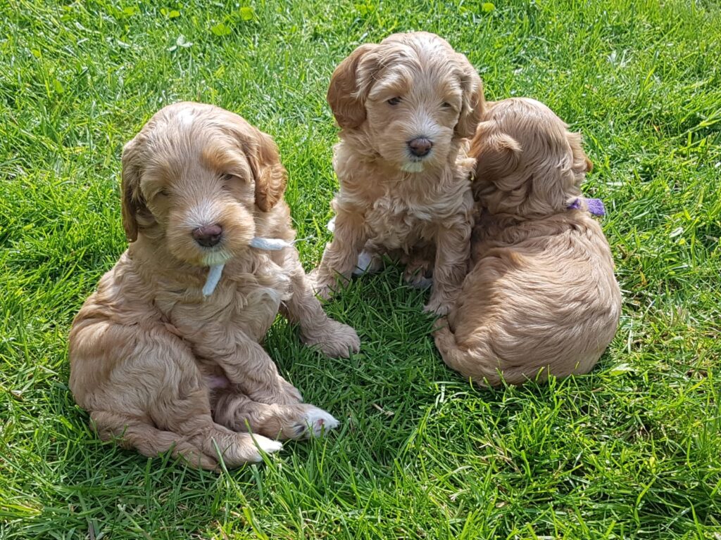 WhatsApp Image 2023-09-20 at 17.26.25