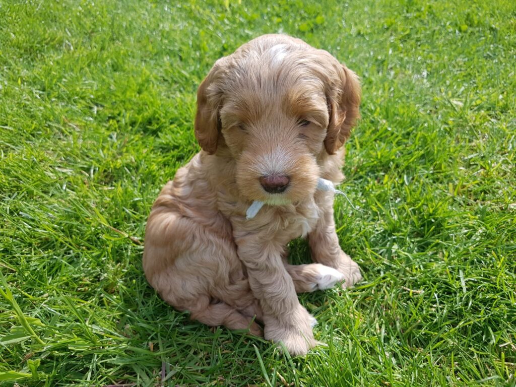 WhatsApp Image 2023-09-20 at 17.27.48