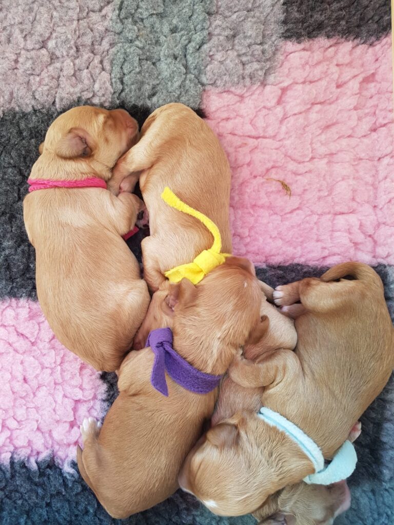 WhatsApp Image 2023-09-20 at 17.29.44