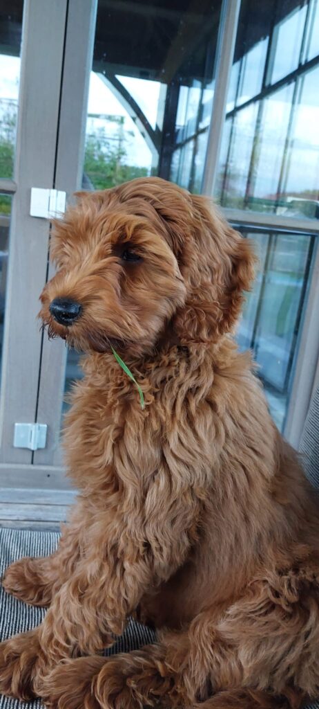 WhatsApp Image 2024-10-09 at 17.08.14_912b1941