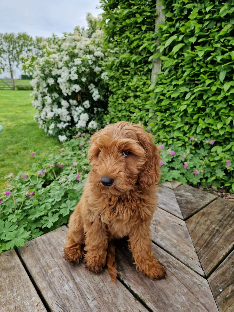 WhatsApp Image 2024-10-09 at 17.08.14_dc396203