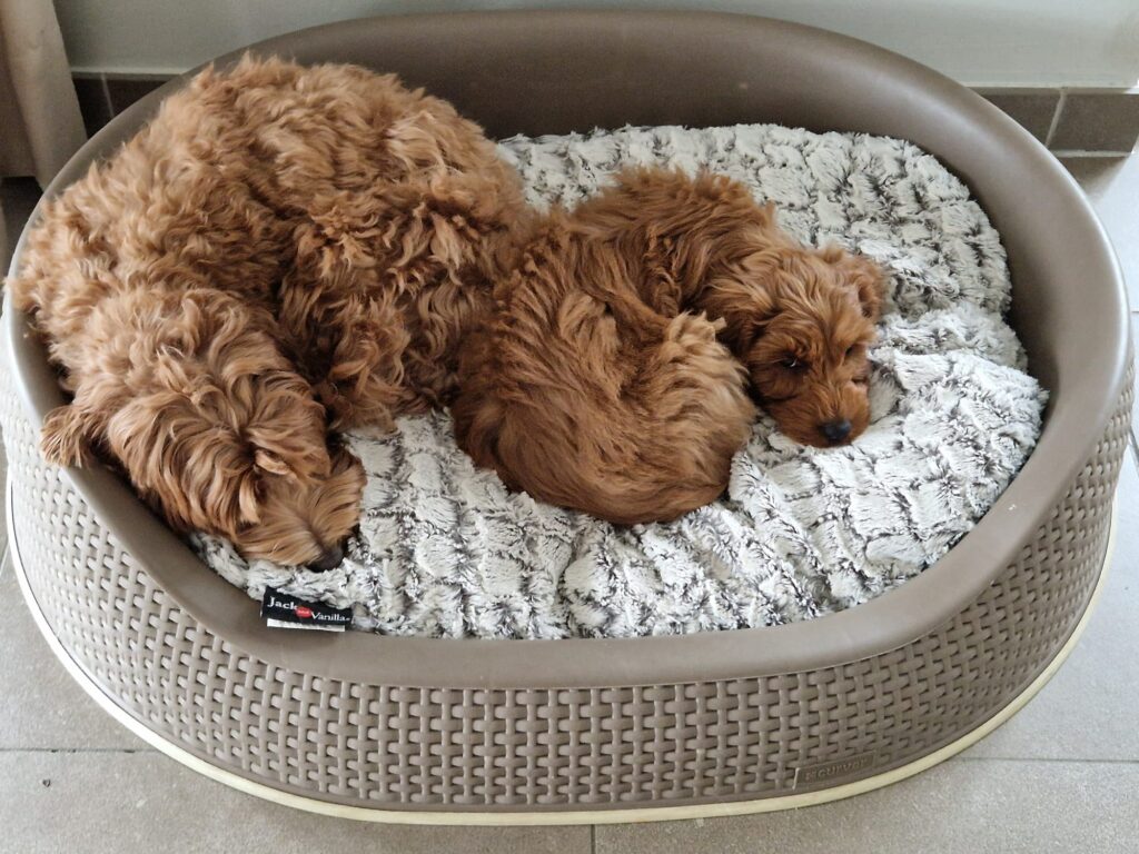 WhatsApp Image 2024-10-09 at 17.08.15_8d10ce63