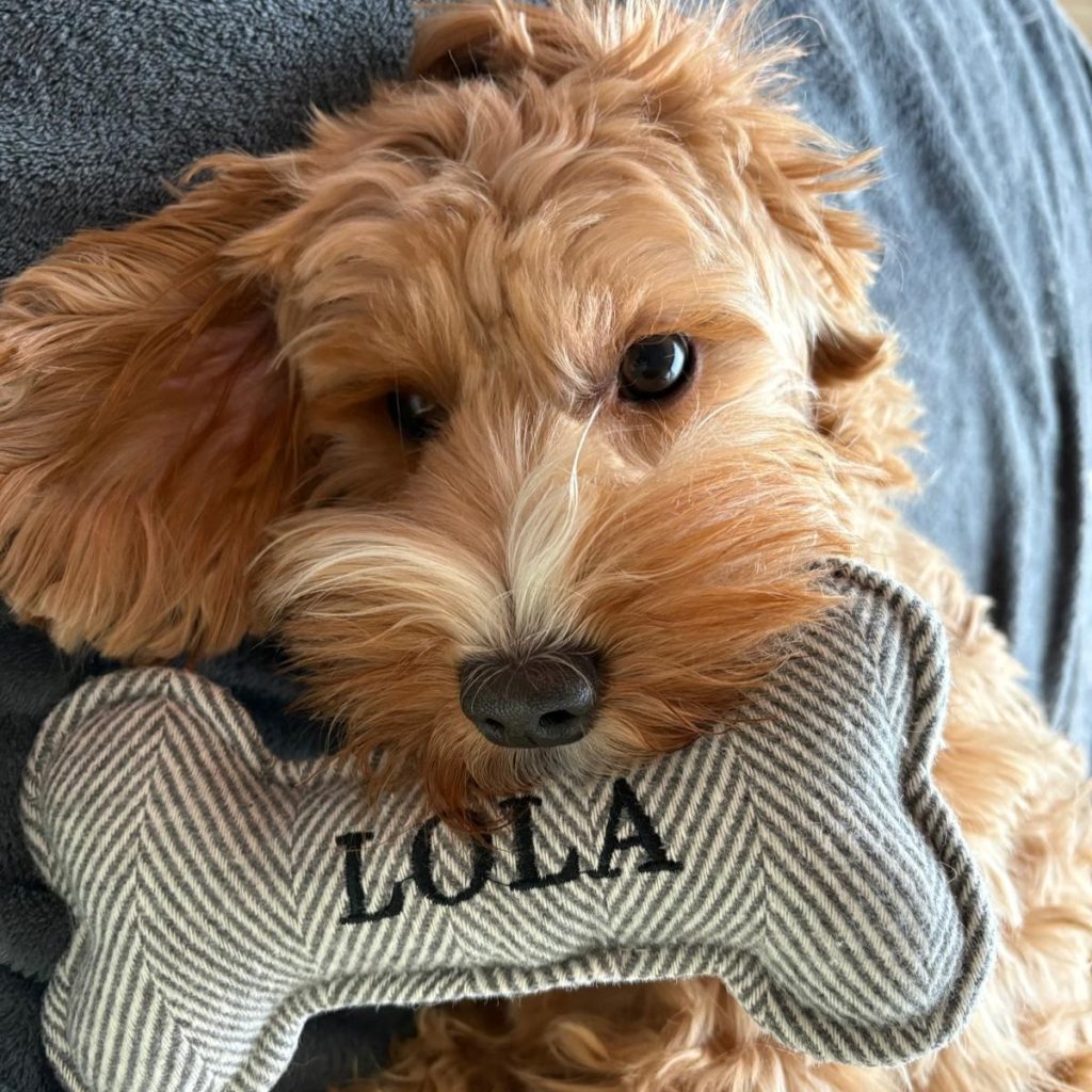 WhatsApp Image 2026-04-04 at 14.16.29